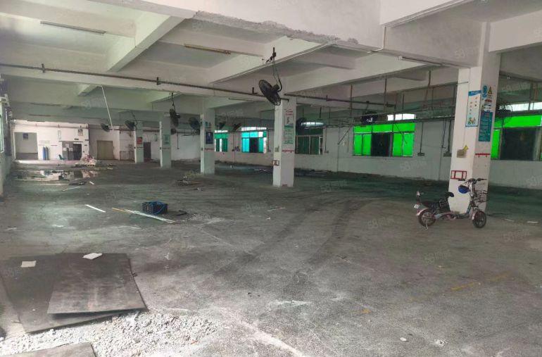 万江石美标准一楼650平出租，大路边交通便利