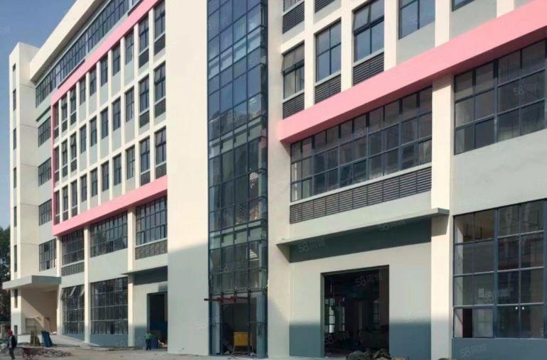 万江全新厂房9.9院出租，配套好，交通好