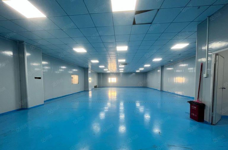 樟木头精装修小面积300平 500平  800平 低价出租