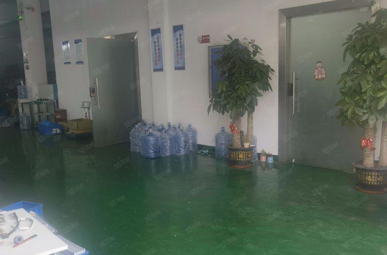 12元特价原房东，樟木头厂房出租一楼1500平方航车环评消防