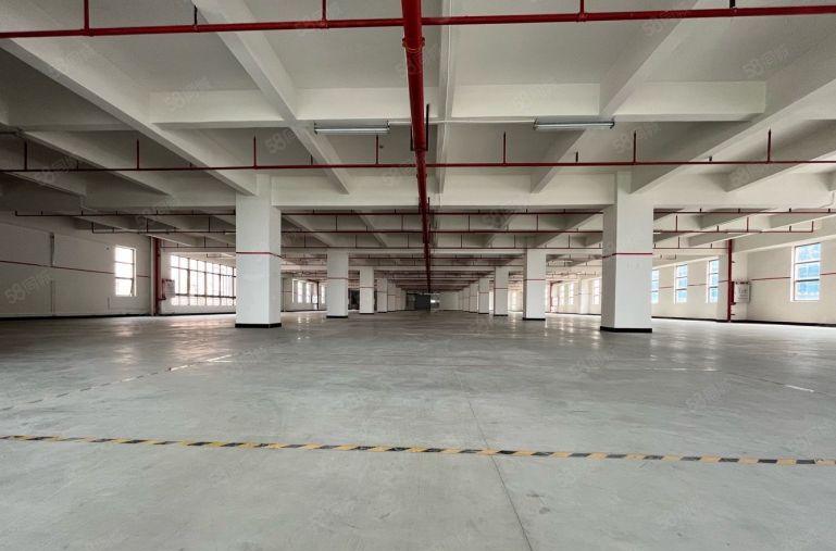 临近塘厦 樟木头樟洋原房东500平 1500平厂房出租 可分