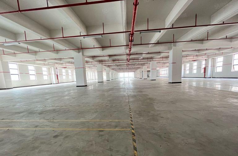 临近塘厦 樟木头樟洋原房东500平 1500平厂房出租 可分