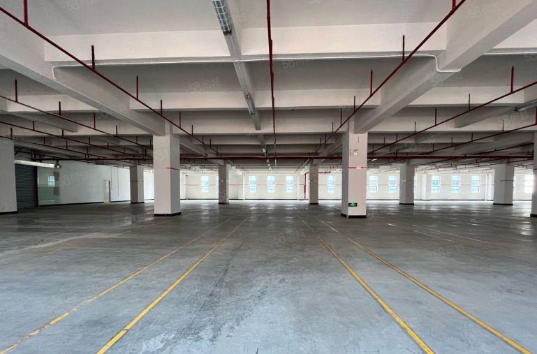 临近塘厦 樟木头樟洋原房东500平 1500平厂房出租 可分