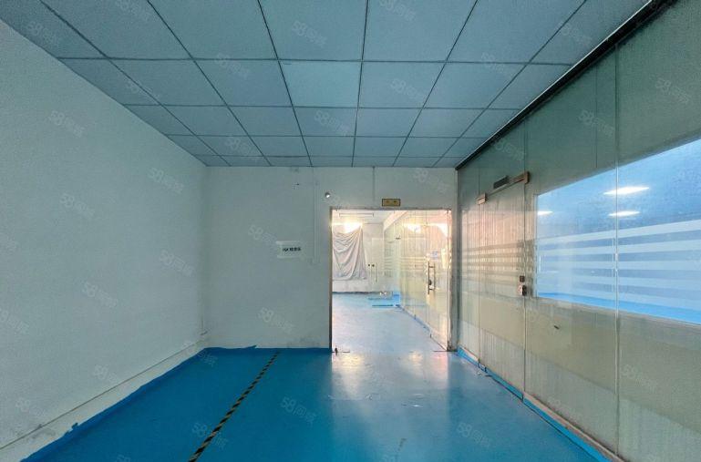 樟木头精装修小面积300平 500平  800平 低价出租