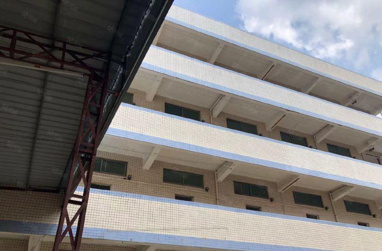 原房东低价出租独门独院工业用地有红本