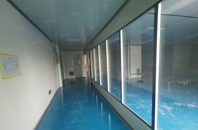 大朗新出独院带防尘车间现成办公室厂房，靠近大马路空地大