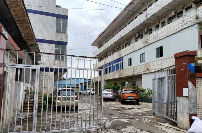 寮步原房东标准厂房出租