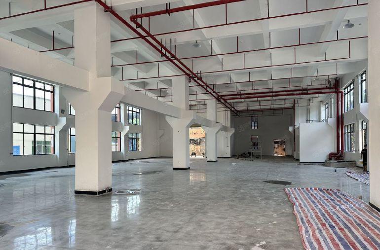 12元全包大朗本地房东独院厂房仓库低价出租，单层1000平