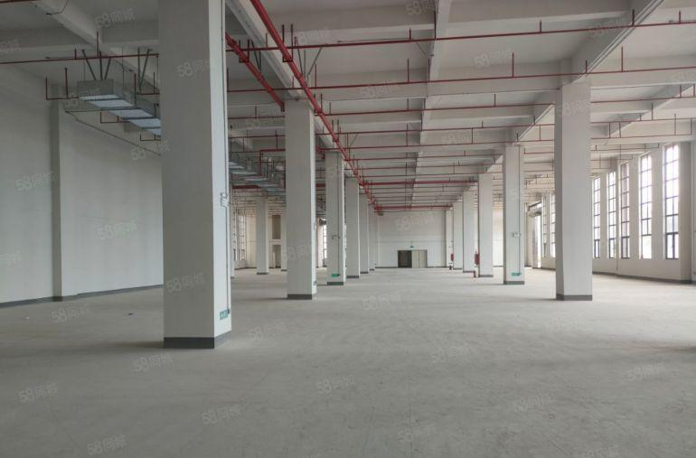 大朗高速路口新出原房东标准独院厂房 实际面积出租 可办环评！