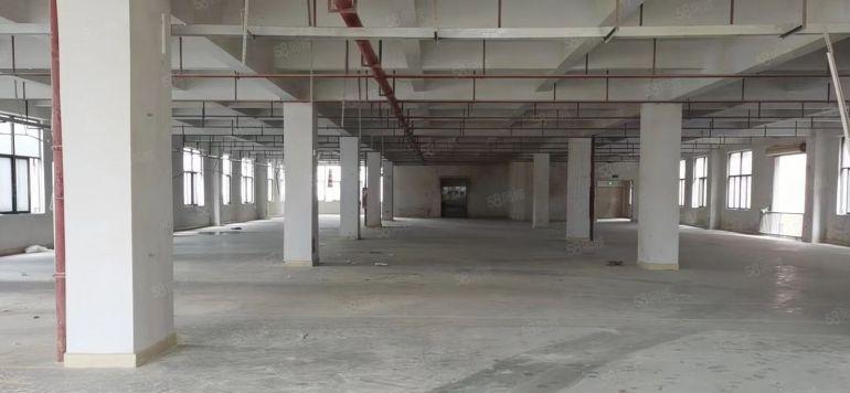 大朗高速路口新出原房东标准独院厂房 实际面积出租 可办环评！