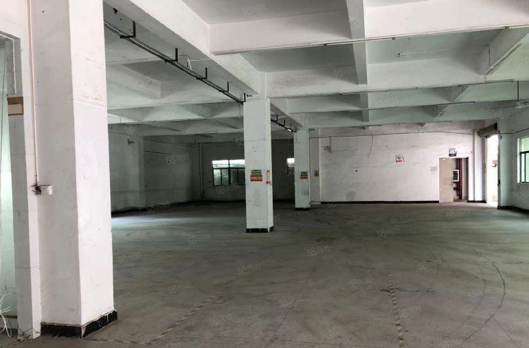 原房东低价出租独门独院工业用地有红本