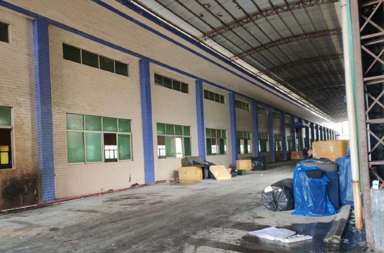 大朗新出原房东单一层独院12000平高度8米大小可分租