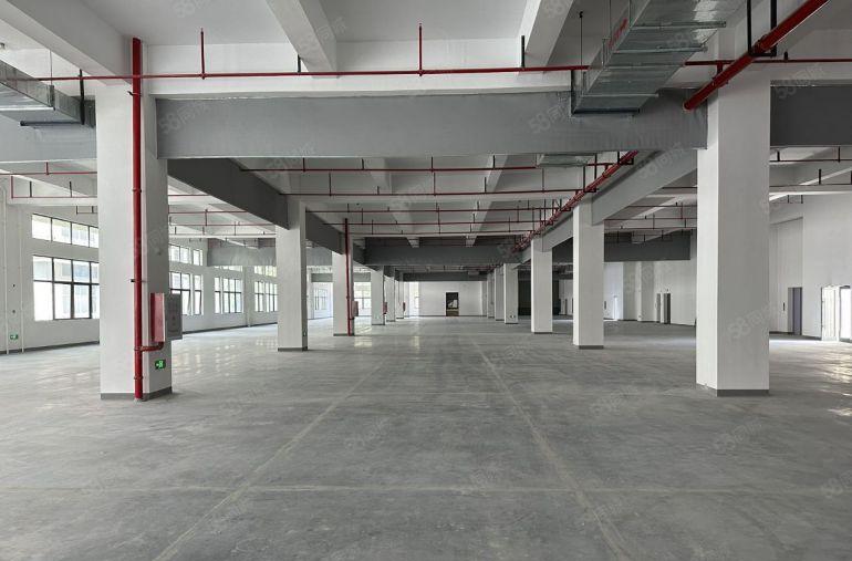 红本厂房 大朗富民工业区全新厂房 起租价10元 含税