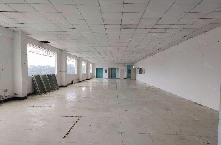 大朗松山湖旁原房东精装厂房出租 1200平 采光好 看中可谈