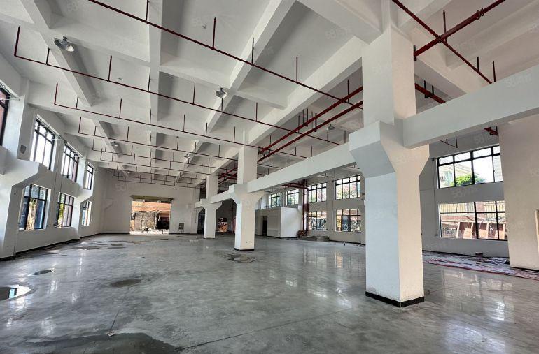 12元全包大朗本地房东独院厂房仓库低价出租，单层1000平