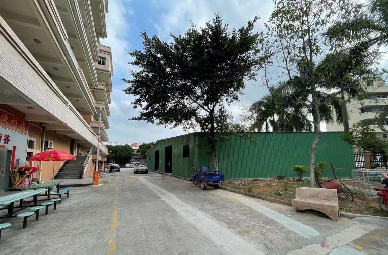 大朗靠松山湖单一层钢结构8米高590平厂房仓库出租 工业用地