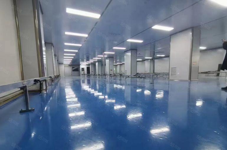 大朗新出独院带防尘车间现成办公室厂房，靠近大马路空地大