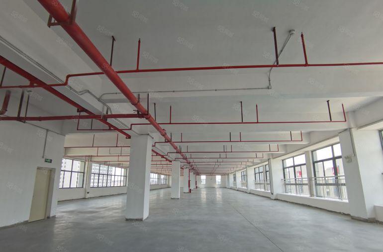 松山湖新出红本2250平重工厂房，可办环评高速出口，超低价