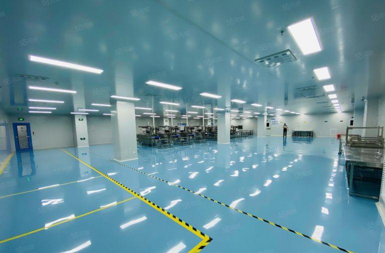 三百平起租松山湖科技园原房东5千平独栋厂房写字楼出租