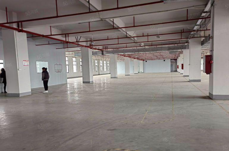 厂房 松山湖全新标准厂房带精装修办公室楼上