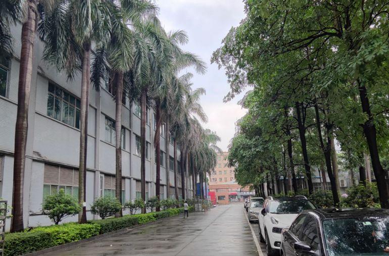 松山湖原房东花园式红本独门独院厂房50000平方招商