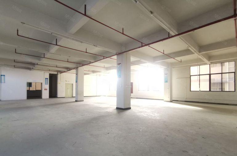 黄江北岸原房东独栋整层800平带装修，2部电梯可做各种行业