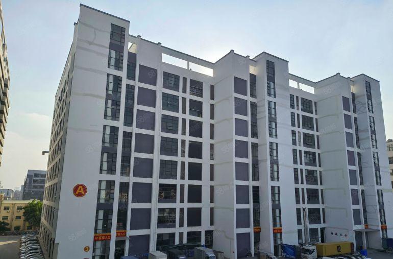 新出，田心园区精装一楼，5.5米高，空地超大，价格低