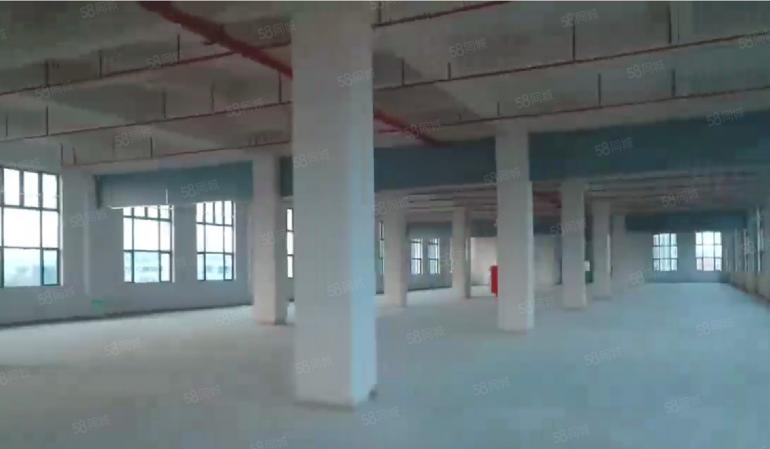 大岭山龙大高速口附近 全新厂房出租 带装修 超低价