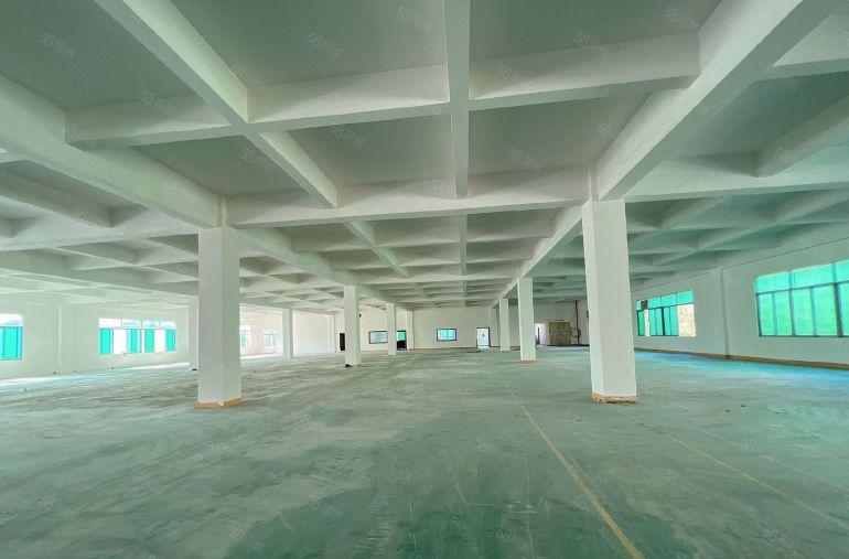 大岭山G107国道旁 独门独院 超低价厂房出租 精装修