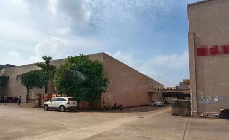 大岭山镇107国道附近原房东9米高砖墙到顶钢结构厂房出租