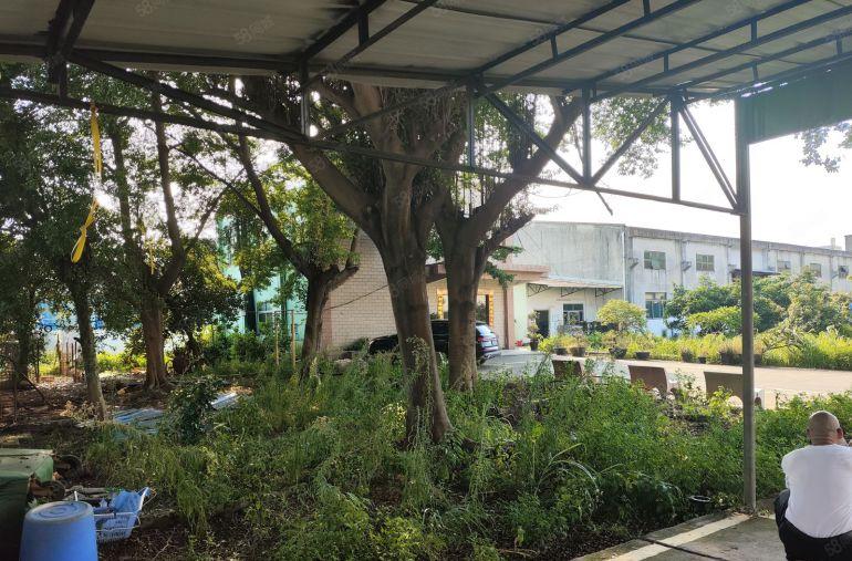 台湾人房东钢钩单一层独院无公摊 超大空地5000平免费使用