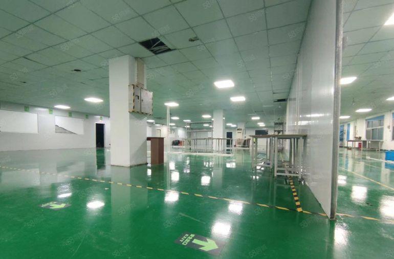 大岭山工业园整栋厂房仓库出租2300平精装修办公研发设备电子