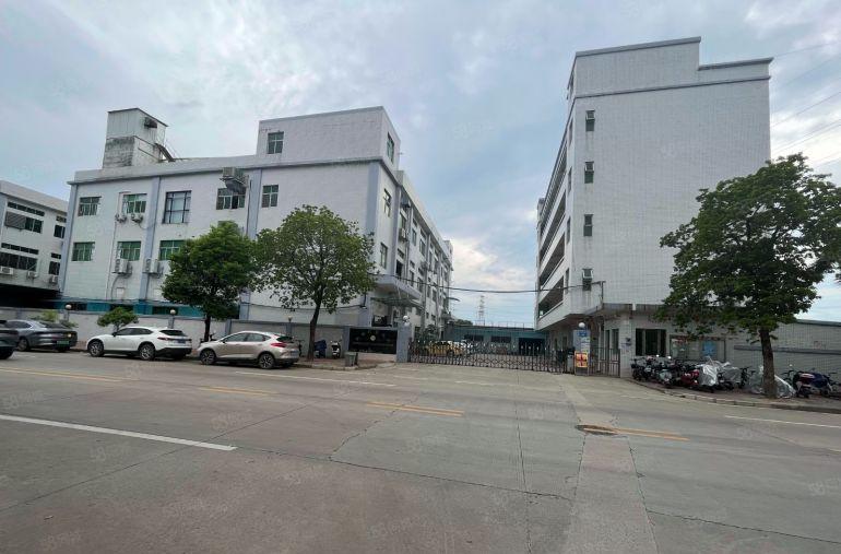 原房东大岭山楼上1500平米精装修厂房出租便宜电子厂房分租