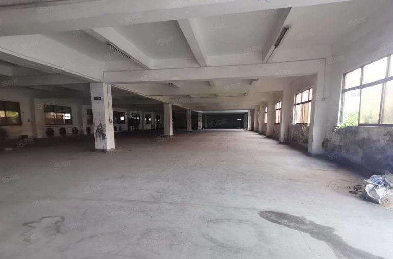 大沙村原房东独门独院低价厂房出租总面积13000平方 可分租