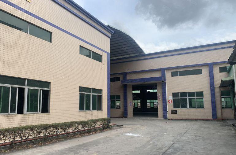 大岭山大塘村高大上工业园滴水8米砖墙到顶钢构2500平