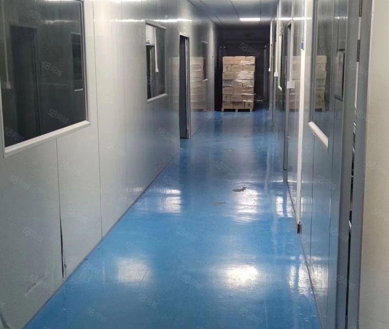 低价厂房出租大岭山镇空出标准2楼2200平带豪华装修 消防证