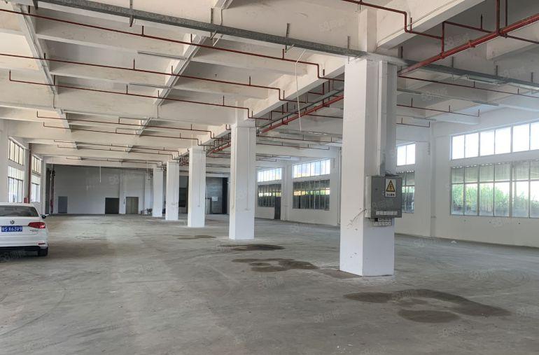 大岭山独院五层厂房1000平起低价出租