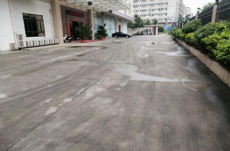 大岭山鸡翅岭独院厂房出租 一楼实量面积 可做展厅生产 精装修