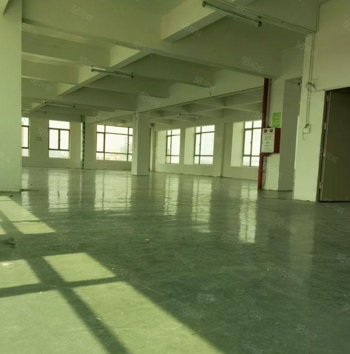 大岭山杨屋新空出整层720方厂房低价工业厂房出租