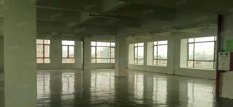 大岭山杨屋新空出整层720方厂房低价工业厂房出租