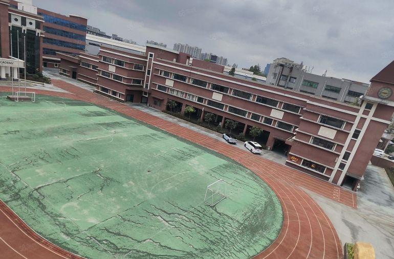 大岭山镇学院风厂房一楼，精装办公室地坪漆，超大空地特价15元