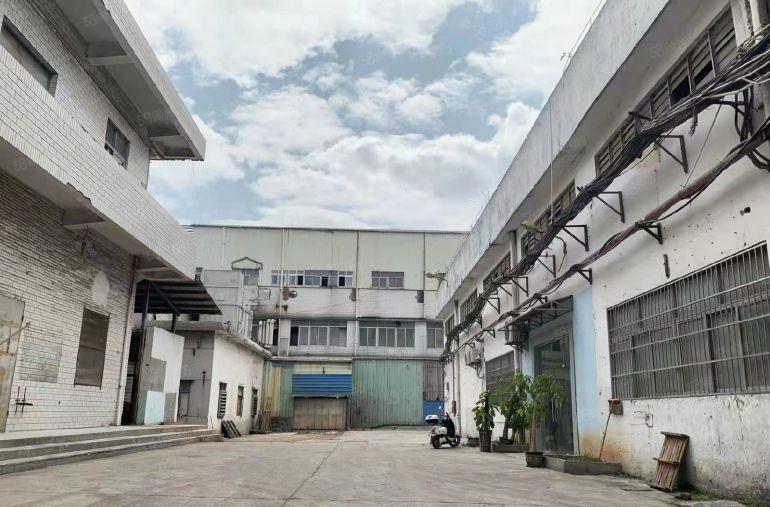 超低价厂房出租 大岭山镇杨屋村单一层带装修800平 水电齐全