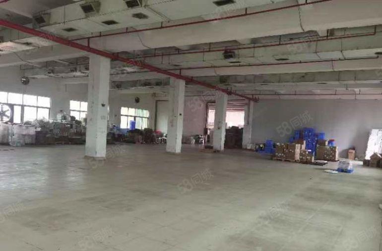 石碣工业园区独院 一楼和四楼出租 租金便宜