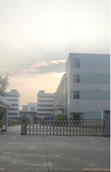 石碣电子厂房房东12000方诚意出租15元起