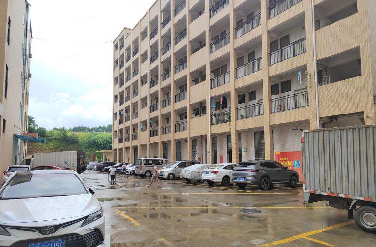 低价清溪青湖工业区标准一楼厂房出租2800平实际面积可分租