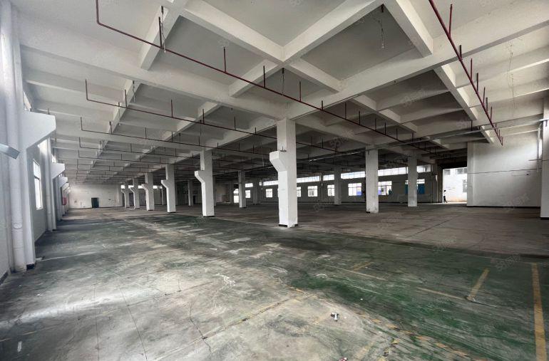 清溪三中原房东独院厂房出租一楼11块每平方，免租期超长