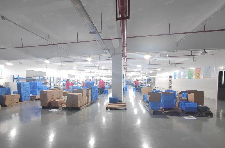 清溪原房东独门独院厂房8000平出租，水电过户，五年不递增！