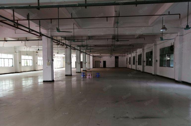 清溪三中独门独院8000平厂房出租9块钱起租空地大仓库低价出