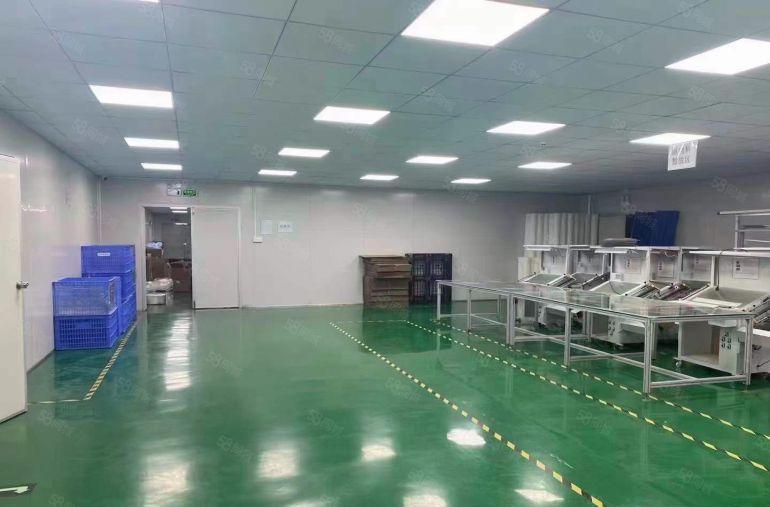 10元可谈清溪原房东独院厂房1280平豪华装修无尘车间可分租