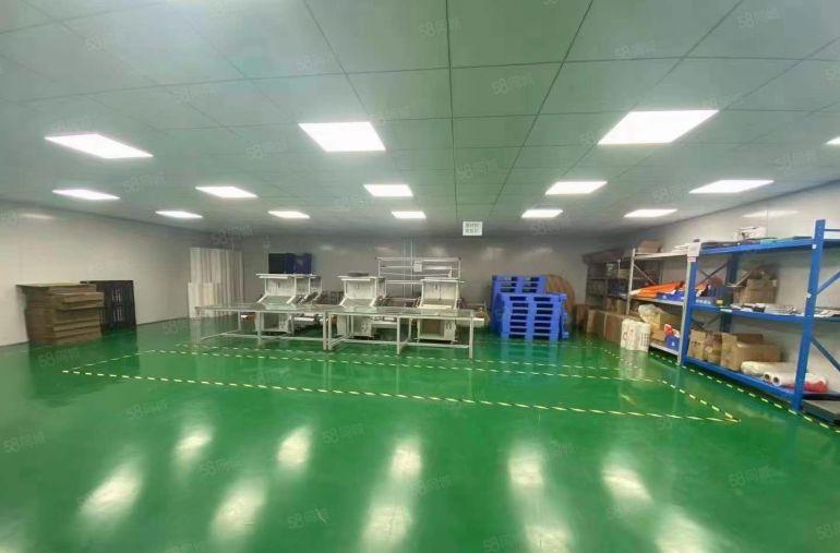 10元可谈清溪原房东独院厂房1280平豪华装修无尘车间可分租
